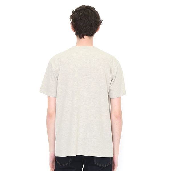 【でんしゃのずかん】大人Tシャツ（貨物列車）
